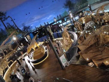 福井県立恐竜博物館に投稿された画像（2025/7/11）