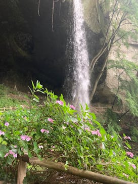 ジャパンだるまツアーに投稿された画像（2025/7/11）