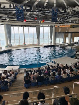 アクアワールド茨城県大洗水族館に投稿された画像（2025/7/11）