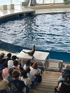 アクアワールド茨城県大洗水族館に投稿された画像（2025/7/11）