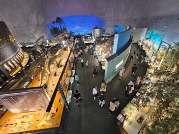 福井県立恐竜博物館に投稿された画像（2025/7/11）