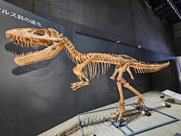 福井県立恐竜博物館に投稿された画像（2025/7/11）