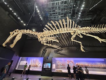 福井県立恐竜博物館に投稿された画像（2025/7/11）