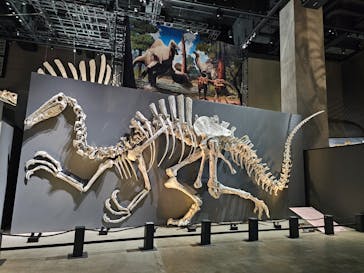 福井県立恐竜博物館に投稿された画像（2025/7/11）