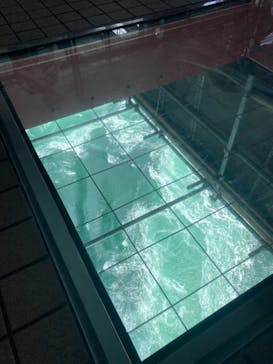 徳島県立 渦の道に投稿された画像（2025/7/11）