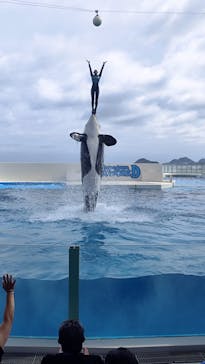 鴨川シーワールドに投稿された画像（2025/7/11）