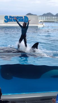 鴨川シーワールドに投稿された画像（2025/7/11）