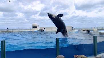 鴨川シーワールドに投稿された画像（2025/7/11）