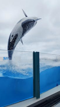鴨川シーワールドに投稿された画像（2025/7/11）