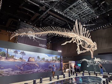 福井県立恐竜博物館に投稿された画像（2025/7/11）