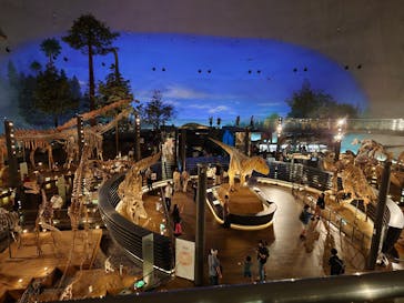 福井県立恐竜博物館に投稿された画像（2025/7/11）