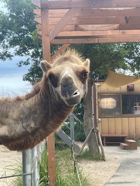 神戸どうぶつ王国に投稿された画像（2025/7/11）