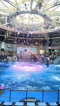 マクセル アクアパーク品川に投稿された画像（2025/7/11）