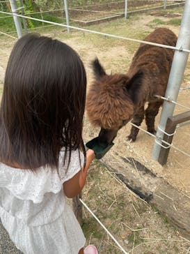 神戸どうぶつ王国に投稿された画像（2025/7/11）