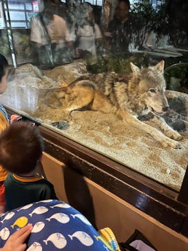 神戸どうぶつ王国に投稿された画像（2025/7/11）