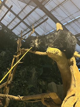 神戸どうぶつ王国に投稿された画像（2025/7/11）