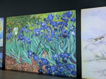 Immersive Museum OSAKA 2025に投稿された画像（2025/7/11）