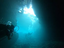 スカイウォーカーに投稿された画像（2025/7/11）