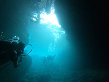 スカイウォーカーに投稿された画像（2025/7/11）