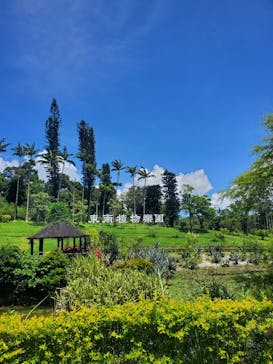 美らヤシパークオキナワ・東南植物楽園に投稿された画像（2025/7/12）