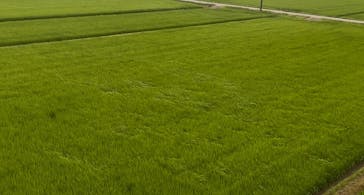 成田の命泉　大和の湯に投稿された画像（2025/7/12）