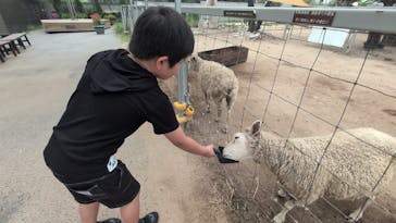 神戸どうぶつ王国に投稿された画像（2025/7/12）