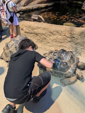 神戸どうぶつ王国に投稿された画像（2025/7/12）