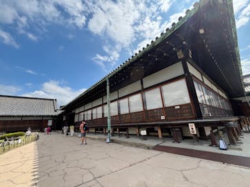 元離宮二条城に投稿された画像（2025/7/12）