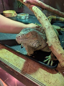 Moff animal cafe イオンモール幕張新都心店に投稿された画像（2025/7/12）