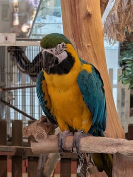 Moff animal cafe イオンモール幕張新都心店に投稿された画像（2025/7/12）