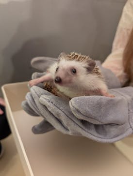 Moff animal cafe イオンモール幕張新都心店に投稿された画像（2025/7/12）