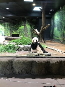 恩賜上野動物園に投稿された画像（2025/7/12）