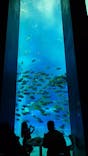 沖縄美ら海水族館に投稿された画像（2025/7/12）