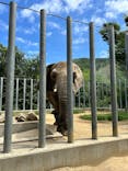 しろとり動物園に投稿された画像（2025/7/12）