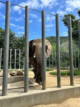 しろとり動物園に投稿された画像（2025/7/12）