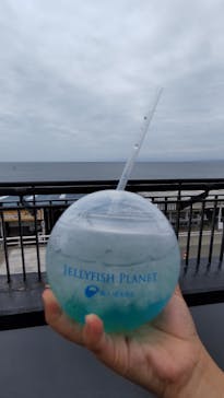 新江ノ島水族館に投稿された画像（2025/7/12）