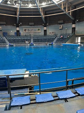 マクセル アクアパーク品川に投稿された画像（2025/7/12）