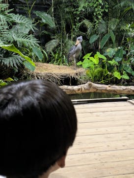 神戸どうぶつ王国に投稿された画像（2025/7/12）