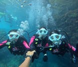 沖縄マリンサービス碧に投稿された画像（2025/7/12）