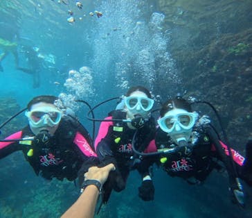 沖縄マリンサービス碧に投稿された画像（2025/7/12）