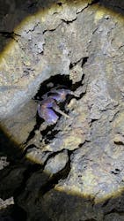 スターライフ石垣島に投稿された画像（2025/7/12）