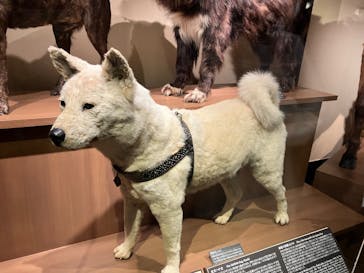 国立科学博物館に投稿された画像（2025/7/12）