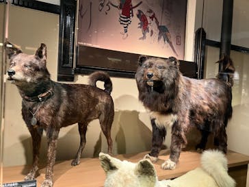 国立科学博物館に投稿された画像（2025/7/12）