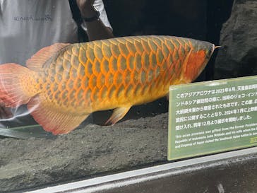 恩賜上野動物園に投稿された画像（2025/7/12）