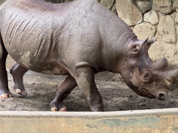 恩賜上野動物園に投稿された画像（2025/7/12）