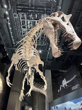 福井県立恐竜博物館に投稿された画像（2025/7/12）