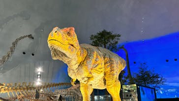 福井県立恐竜博物館に投稿された画像（2025/7/12）
