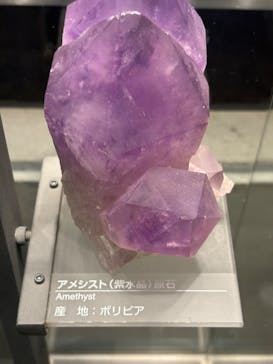福井県立恐竜博物館に投稿された画像（2025/7/12）
