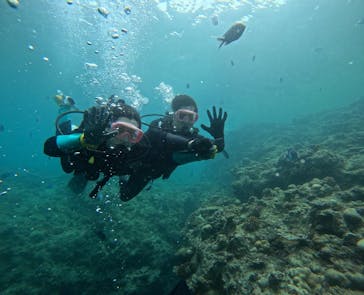 武藤潜水に投稿された画像（2025/7/12）