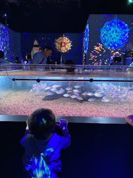 マクセル アクアパーク品川に投稿された画像（2025/7/12）